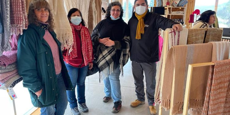 Gobierno regional de la Araucanía  realizó gira de agricultores ovinos a la zona central