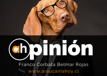 #culpableono
