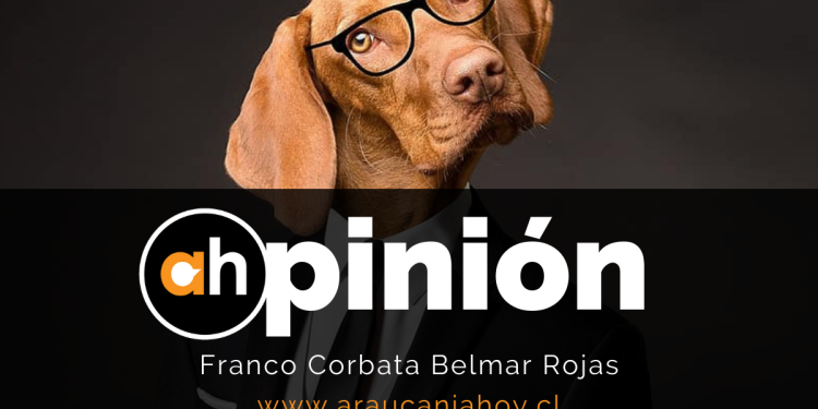 #culpableono