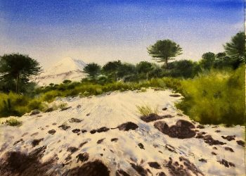 Artista de los paisajes de La Araucanía