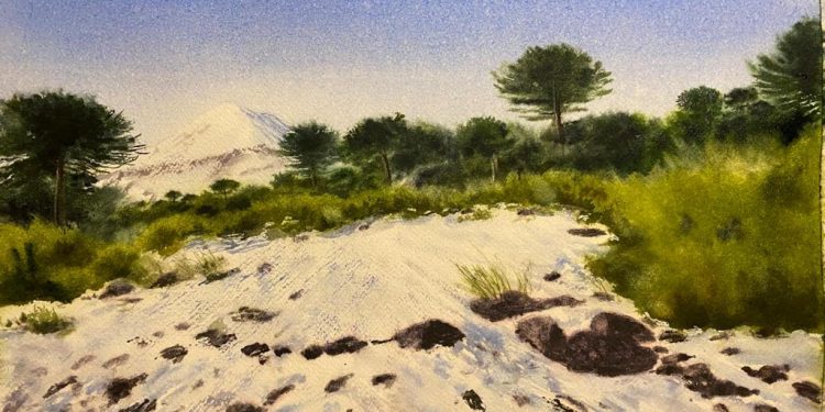 Artista de los paisajes de La Araucanía