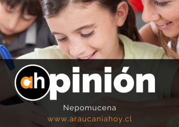 opinion