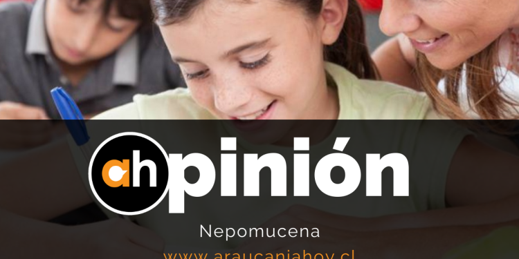 opinion
