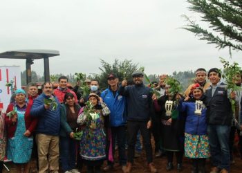 Tecnología llega al sector rural de Carahue