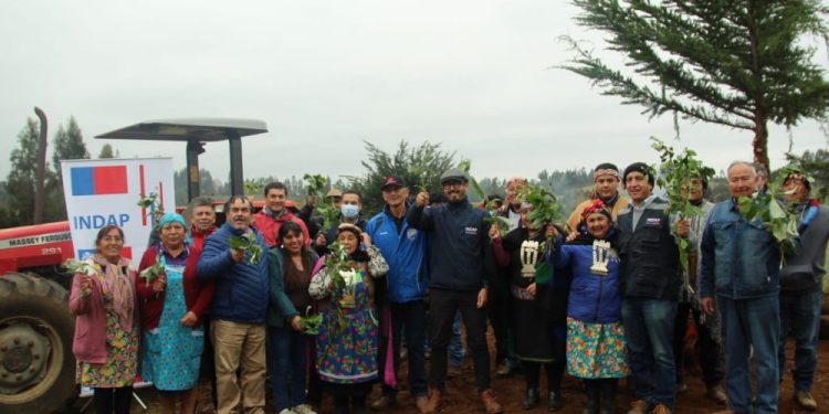 Tecnología llega al sector rural de Carahue