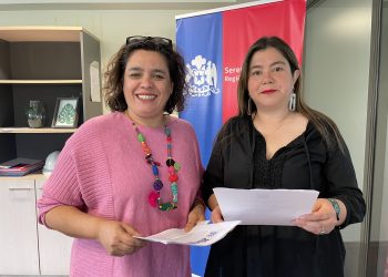 Extensión del postnatal parental y plataforma digital Chile Avanzando
