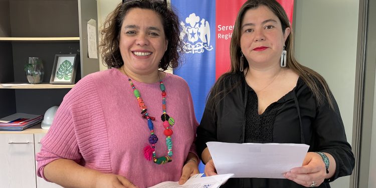 Extensión del postnatal parental y plataforma digital Chile Avanzando