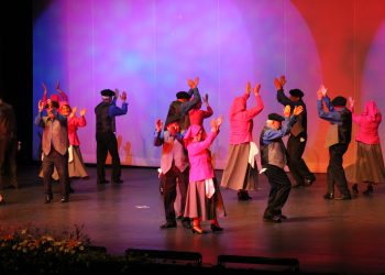 Exitosa gala del Ballet Folclórico de adultos mayores en Temuco