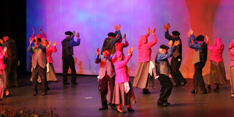 Exitosa gala del Ballet Folclórico de adultos mayores en Temuco