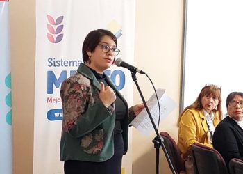 Ministra de las culturas, las Artes y el Patrimonio de visita en La Araucanía