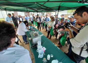 Finaliza exitoso proyecto en el rubro de la papa