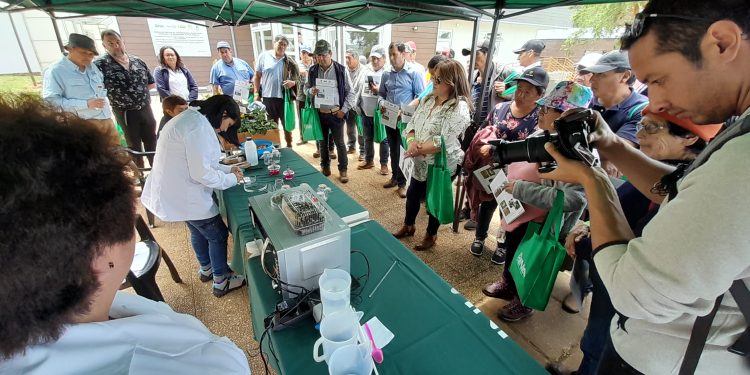 Finaliza exitoso proyecto en el rubro de la papa