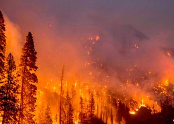 CONCEJAL VÁSQUEZ REALIZA LLAMADO PARA PREVENIR INCENDIOS EN AREAS VERDES DE TEMUCO.