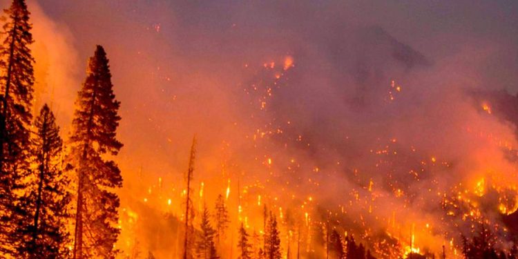 CONCEJAL VÁSQUEZ REALIZA LLAMADO PARA PREVENIR INCENDIOS EN AREAS VERDES DE TEMUCO.