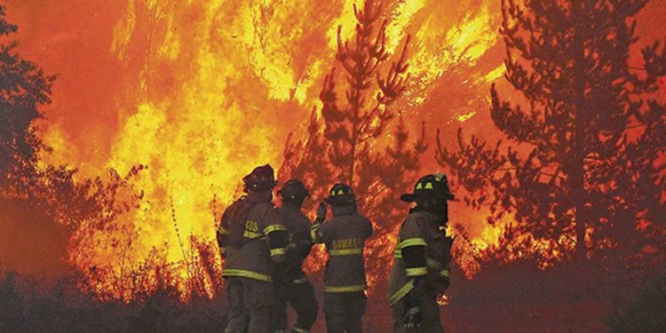 La responsabilidad compartida de los incendios forestales en Chile