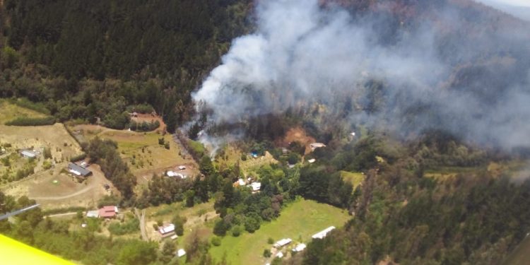 Tres incendios forestales afectan a La Araucanía