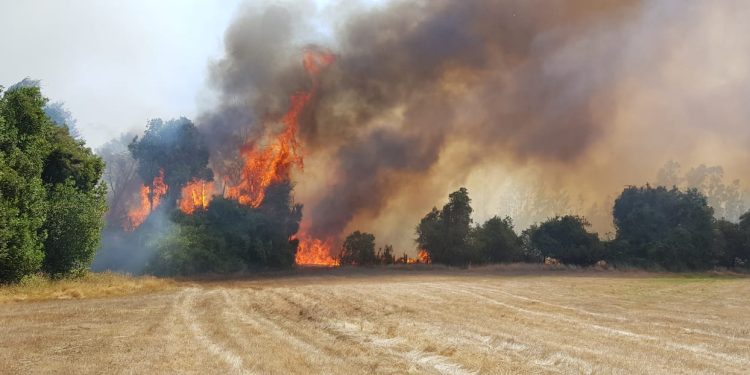 La Araucanía lidera investigaciones por incendios forestales