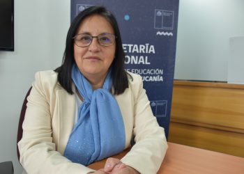 Positivo balance tras jornadas PAES en La Araucanía 