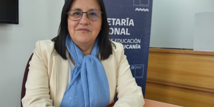 Positivo balance tras jornadas PAES en La Araucanía 