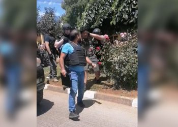 Detienen a werkén de Temucuicui por robo de madera