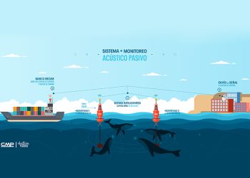 Acústica marina instala boyas con inteligencia artificial
