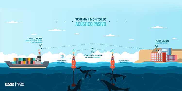 Acústica marina instala boyas con inteligencia artificial