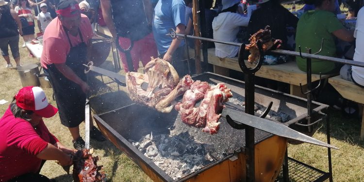 Toltén presenta variado programa para disfrutar este verano 2023