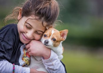 Innovadora tecnología permite localizar mascotas perdidas en Chile