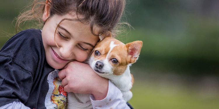 Innovadora tecnología permite localizar mascotas perdidas en Chile