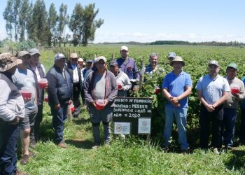 Programa Araucanía Frutícola abre convocatoria