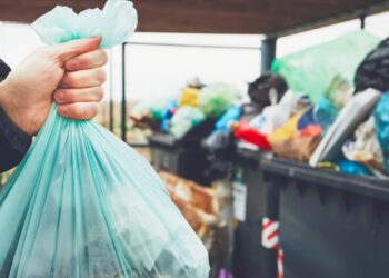 Día Internacional Libre de Bolsas de Plástico: Promoviendo la Reducción y Consumo Responsable