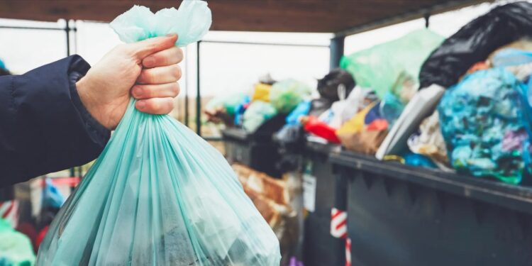 Día Internacional Libre de Bolsas de Plástico: Promoviendo la Reducción y Consumo Responsable