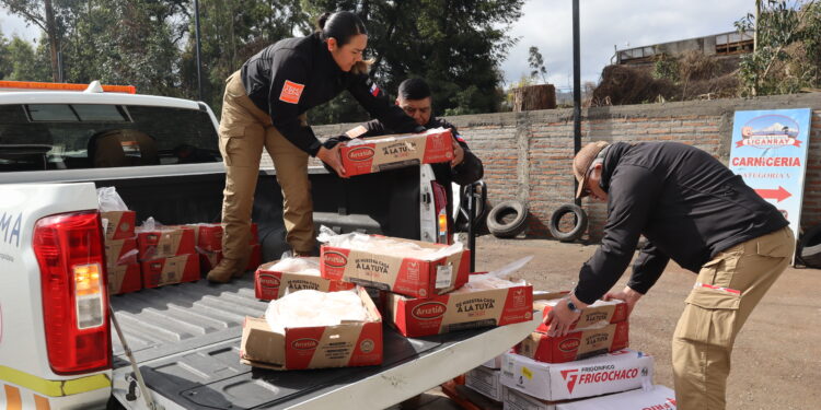 Comienzan las fiscalizaciones en Temuco de cara a las Fiestas Patrias