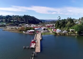 Declaran Zona de Riesgo Sanitario en Puerto Domínguez por contaminación en el Lago Budi