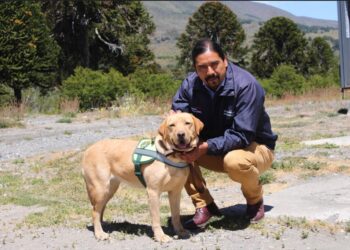 Canil Modular marca la llegada de la Brigada Canina del SAG al paso Mamuil Malal