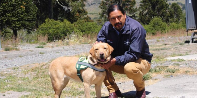 Canil Modular marca la llegada de la Brigada Canina del SAG al paso Mamuil Malal