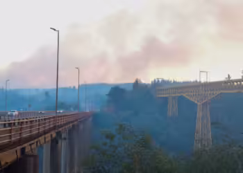 Más de 5 mil hectáreas han sido consumidas por incendios forestales en La Araucanía