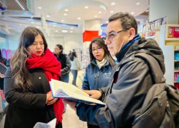 Dirección del Trabajo lanza programa de fiscalización en el sector Comercio de La Araucanía