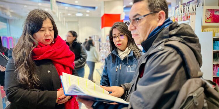 Dirección del Trabajo lanza programa de fiscalización en el sector Comercio de La Araucanía
