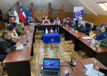 Pucón se anticipa a los incendios forestales con comité de prevención