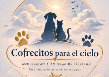 «Cofrecitos para el cielo», el emprendimiento que es tendencia