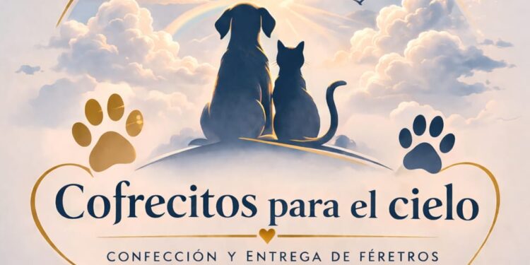 «Cofrecitos para el cielo», el emprendimiento que es tendencia