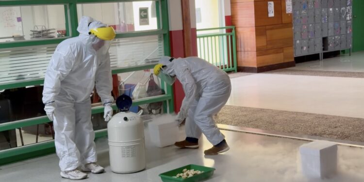 Inédito simulacro de emergencia en Liceo Pablo Neruda