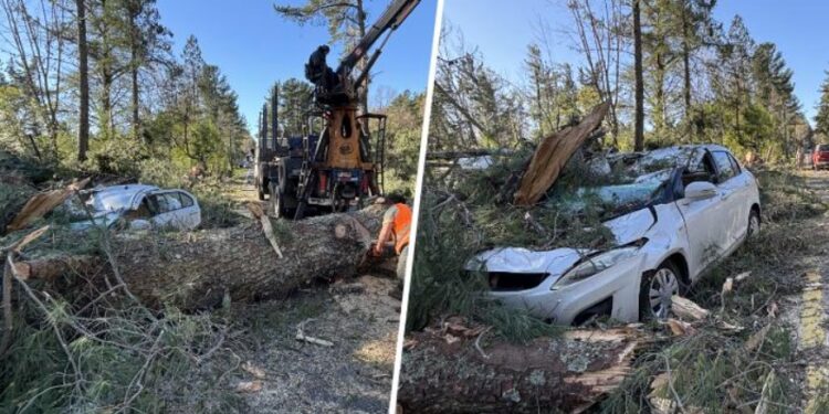 Sistema frontal vuelve a evidenciar la necesidad de una segunda ruta hacia Pucón