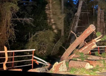 ¿Qué es el viento puelche?: Fenómeno que ha generado emergencias en el sur de Chile