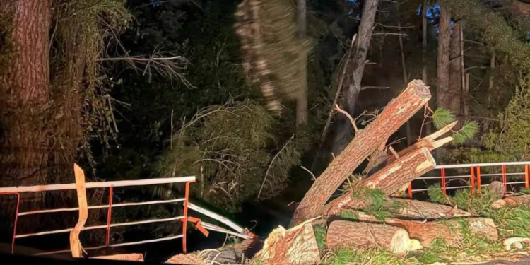 ¿Qué es el viento puelche?: Fenómeno que ha generado emergencias en el sur de Chile