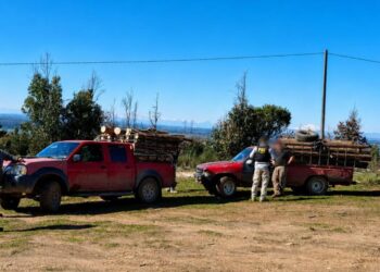 PDI Angol detiene a tres personas por sustracción de madera en Renaico
